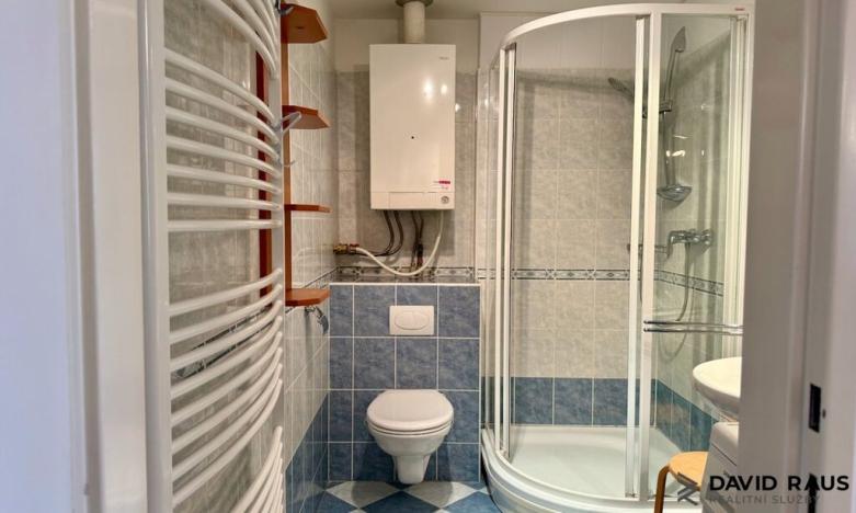 Pronájem atypického bytu, Brno - Veveří, Gorkého, 61 m2