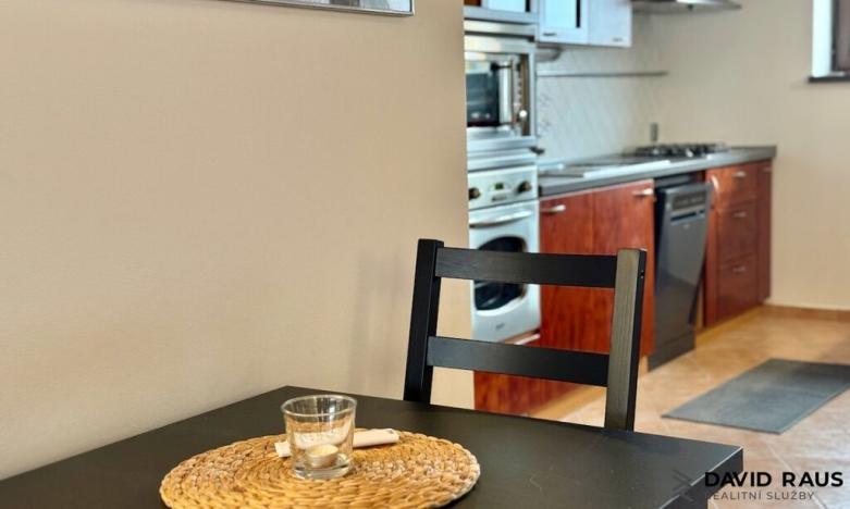 Pronájem atypického bytu, Brno - Veveří, Gorkého, 61 m2