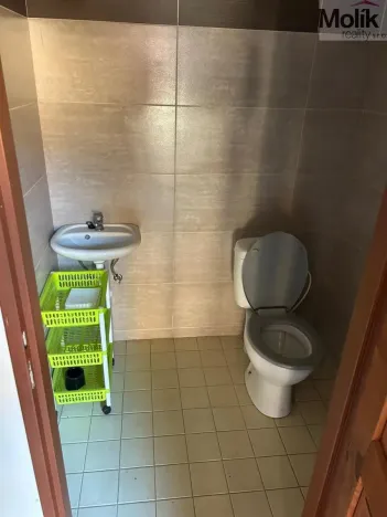 Pronájem skladu, Libčeves, U Rybníka, 250 m2