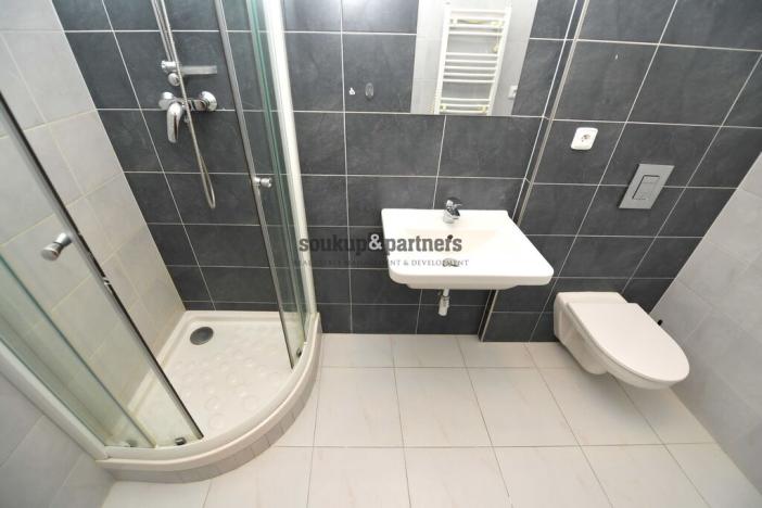 Pronájem bytu 1+kk, Praha - Kamýk, U Kamýku, 31 m2