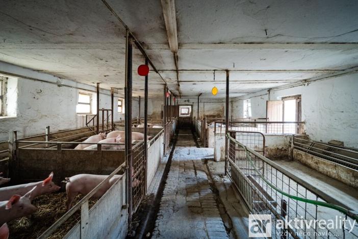 Prodej zemědělské usedlosti, Kokořín - Březinka, 283 m2