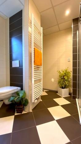 Pronájem bytu 2+1, Beroun - Beroun-Město, Zahořanská, 66 m2