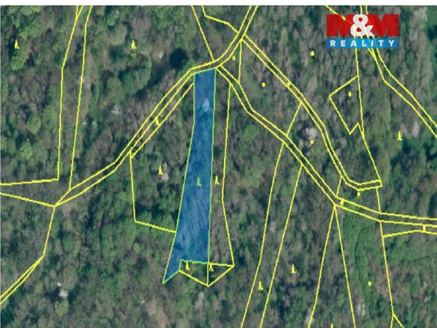 Prodej lesa, Úštěk - Habřina, 13742 m2