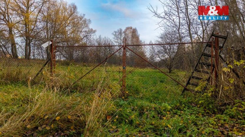 Prodej louky, Česká Lípa, 5589 m2