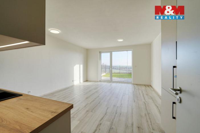 Pronájem bytu 1+kk, Plzeň, 45 m2