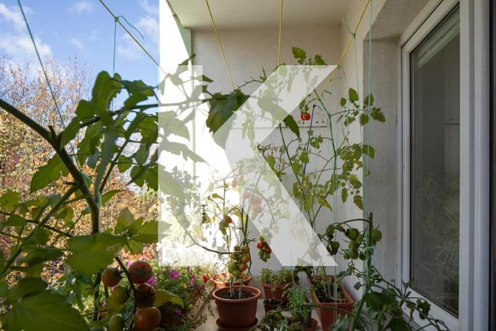 Prodej bytu 2+1, Praha - Veleslavín, Maříkova, 55 m2