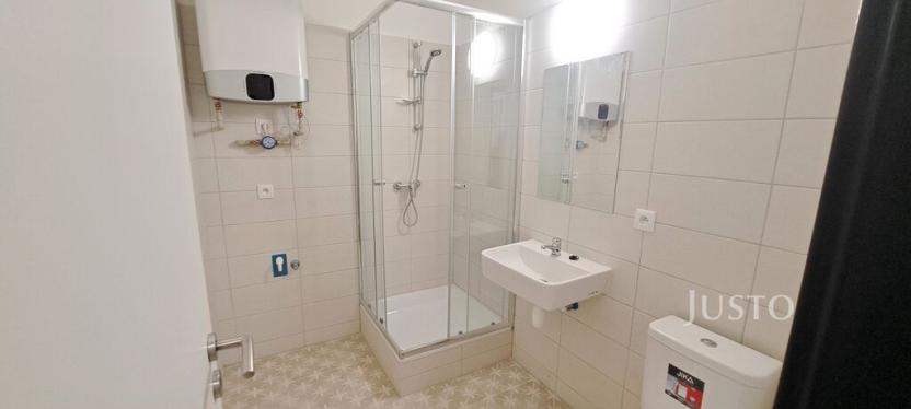 Pronájem bytu 1+kk, Čížová - Topělec, 29 m2
