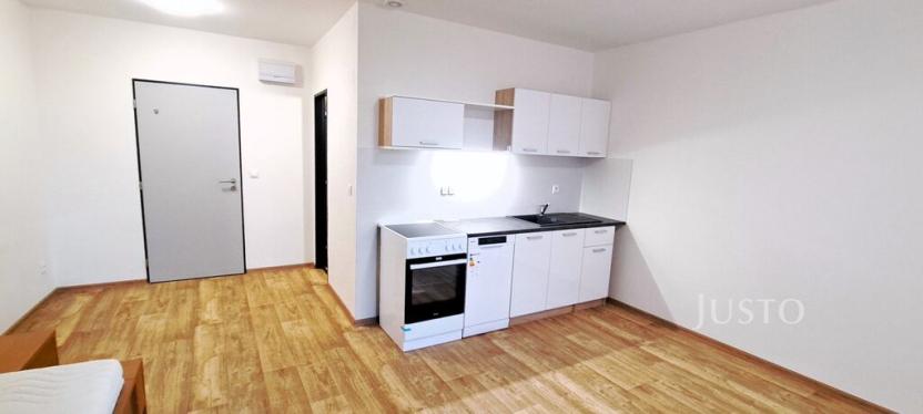 Pronájem bytu 1+kk, Čížová - Topělec, 29 m2
