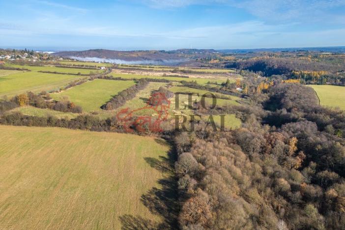 Prodej pozemku pro bydlení, Řitka, Za Štěpnicí, 1036 m2