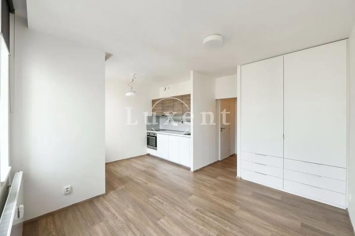 Pronájem bytu 1+kk, Praha - Vinohrady, Lucemburská, 30 m2