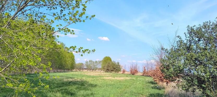 Prodej zahrady, Doubravčice, 7161 m2