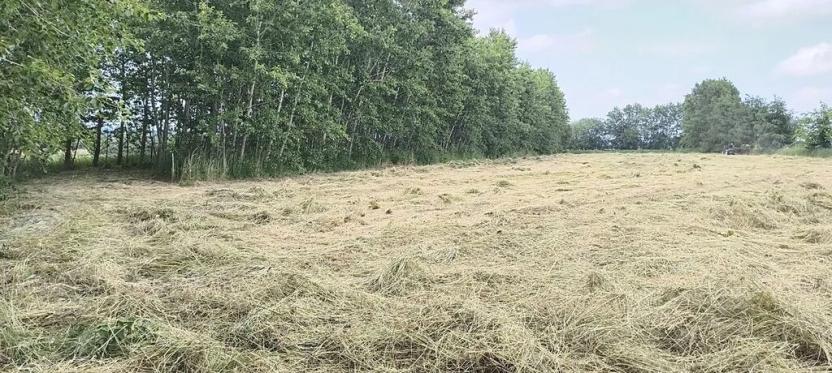 Prodej zahrady, Doubravčice, 7161 m2