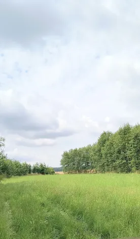 Prodej zahrady, Doubravčice, 7161 m2