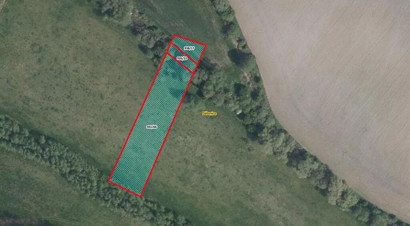 Prodej louky, Dětenice, 3390 m2