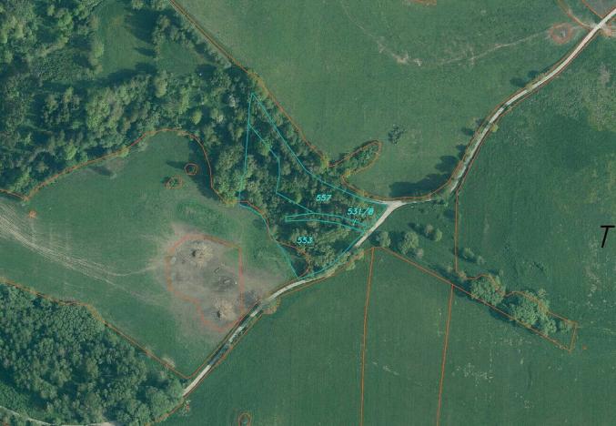 Prodej pozemku, Horní Dvořiště, 10042 m2