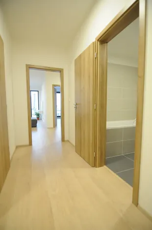 Pronájem bytu 2+kk, Olomouc, Věry Pánkové, 52 m2