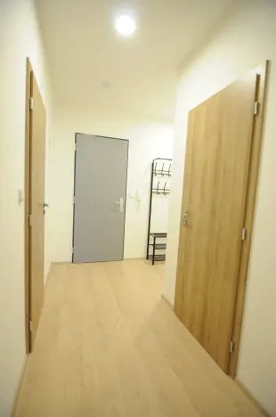 Pronájem bytu 2+kk, Olomouc, Věry Pánkové, 52 m2