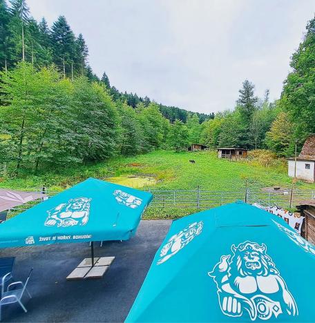 Prodej komerční nemovitosti, Valašské Klobouky, Brumovská, 467 m2