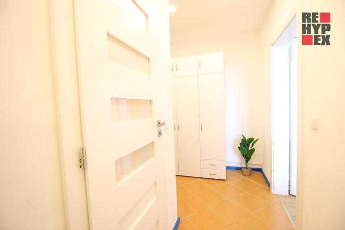 Pronájem bytu 1+1, Liberec - Liberec XII-Staré Pavlovice, Letná, 40 m2