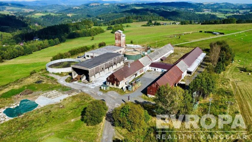 Prodej výrobních prostor, Jílové u Držkova, 107792 m2