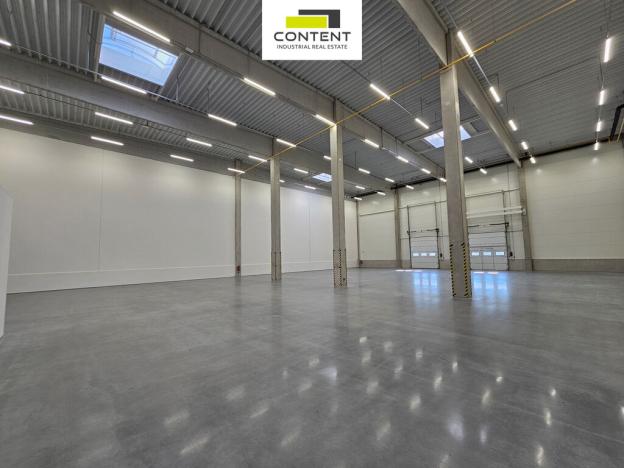 Pronájem výrobních prostor, Řepov, 1690 m2