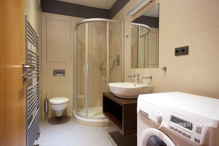 Pronájem bytu 1+kk, Brno, Kopečná, 39 m2