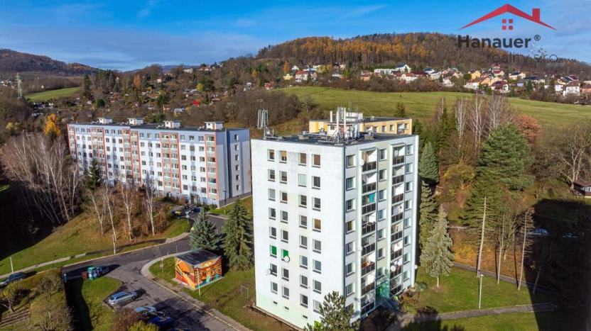 Prodej bytu 2+1, Děčín - Děčín VI-Letná, Severní, 50 m2