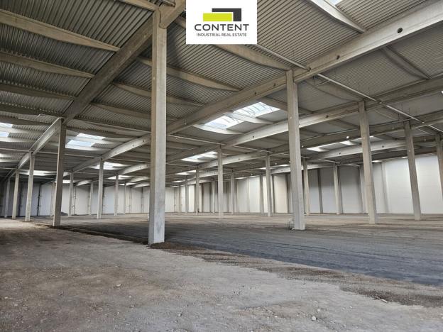 Pronájem skladu, Kozomín, 3000 m2