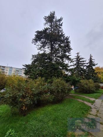 Pronájem bytu 3+1, Praha - Záběhlice, Narcisová, 79 m2