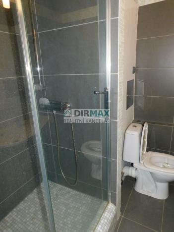 Pronájem bytu 1+kk, Plzeň - Severní Předměstí, Hodonínská, 33 m2