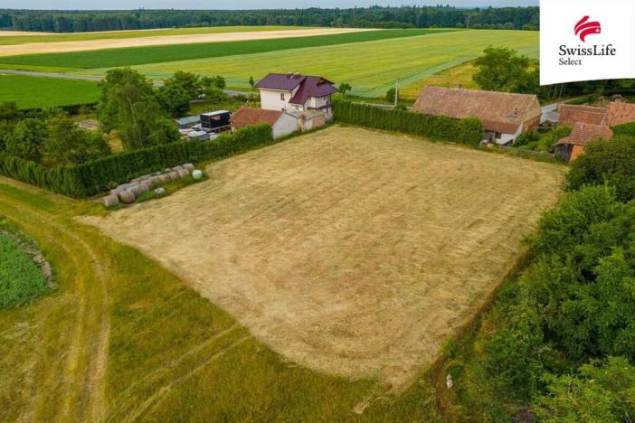 Prodej louky, Ledce, 4531 m2