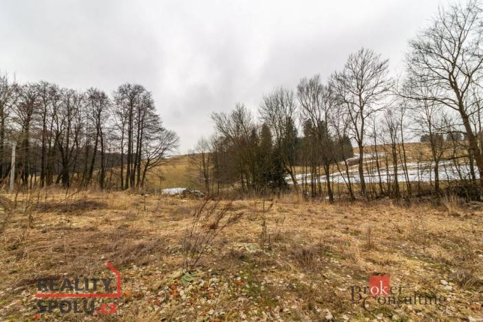 Prodej pozemku pro bydlení, Pěčín, 9989 m2