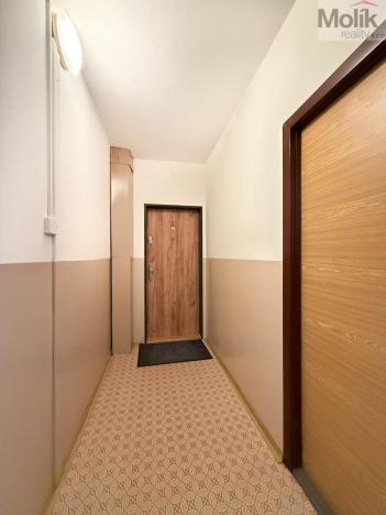 Pronájem bytu 3+1, Teplice - Trnovany, U Červeného kostela, 77 m2