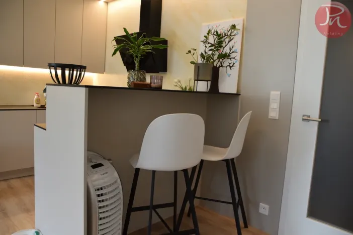 Pronájem bytu 1+kk, Ostrava, F. X. Riepla, 44 m2