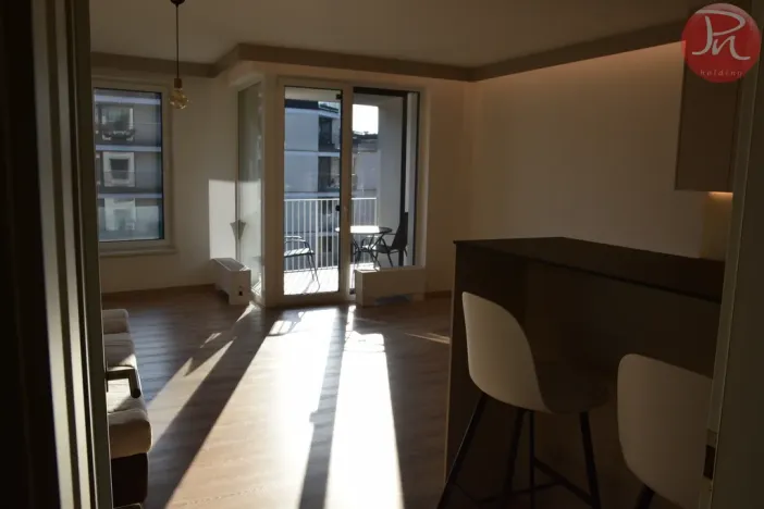 Pronájem bytu 1+kk, Ostrava, F. X. Riepla, 44 m2