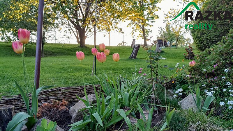 Prodej chaty, Javorník, 80 m2