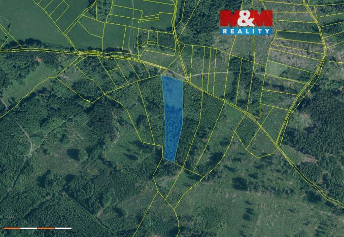 Prodej lesa, Kolinec - Buršice, 11912 m2