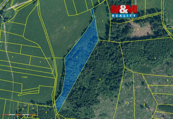 Prodej lesa, Kolinec - Buršice, 10718 m2