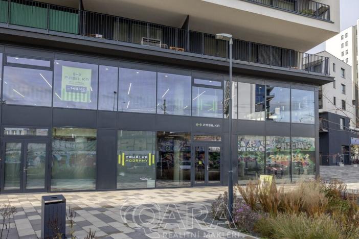 Pronájem bytu 3+kk, Praha - Modřany, Mezi vodami, 87 m2