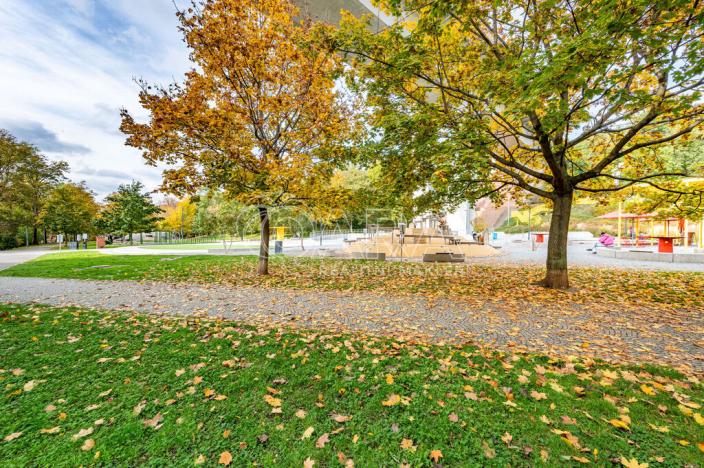 Pronájem bytu 2+kk, Praha - Vinohrady, Na Folimance, 53 m2