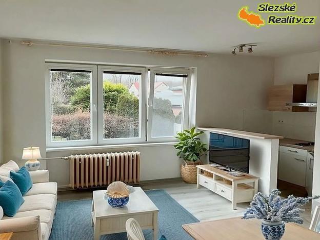 Pronájem bytu 1+kk, Ostrava, Krakovská, 22 m2