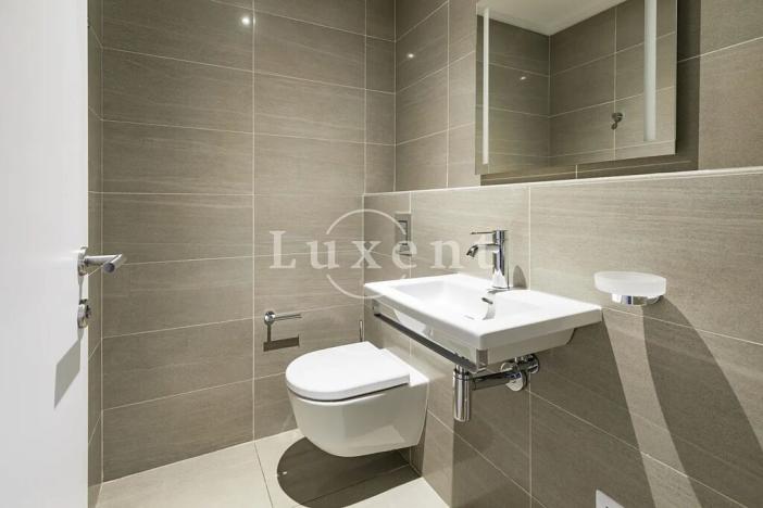 Pronájem bytu 4+kk, Praha, Holečkova, 212 m2