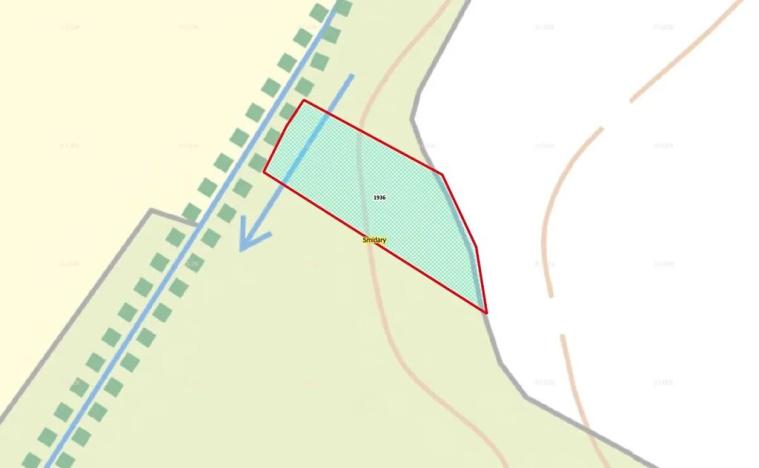 Prodej lesa, Smidary, 1435 m2
