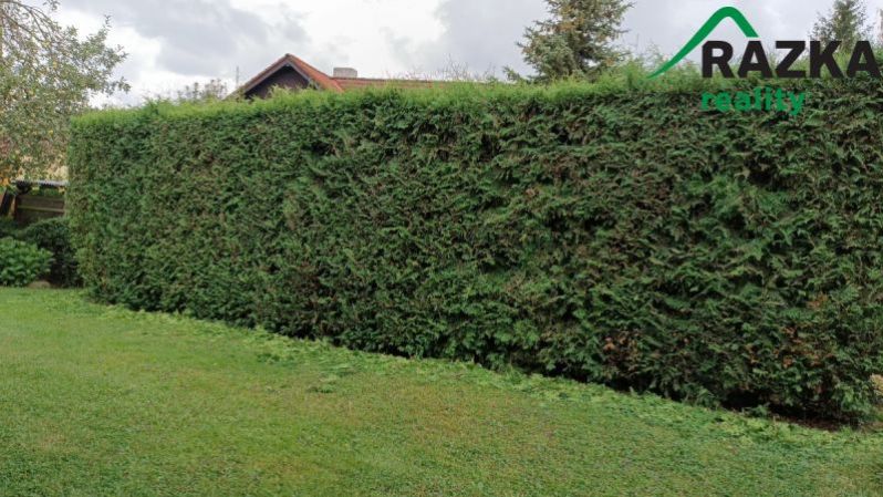 Prodej chalupy, Javorník, 80 m2