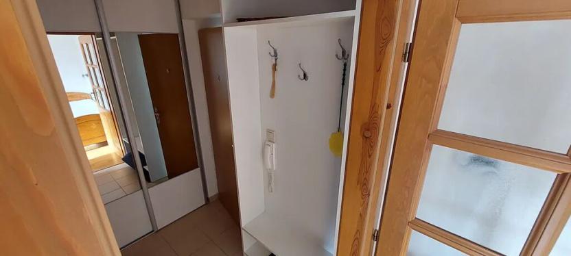 Pronájem bytu 1+kk, Luhačovice, Mlýnská, 26 m2