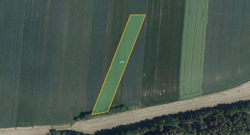 Prodej pole, Domamil, 9549 m2