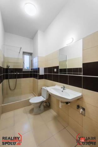 Prodej bytu 2+kk, Ostrava - Vítkovice, Erbenova, 52 m2