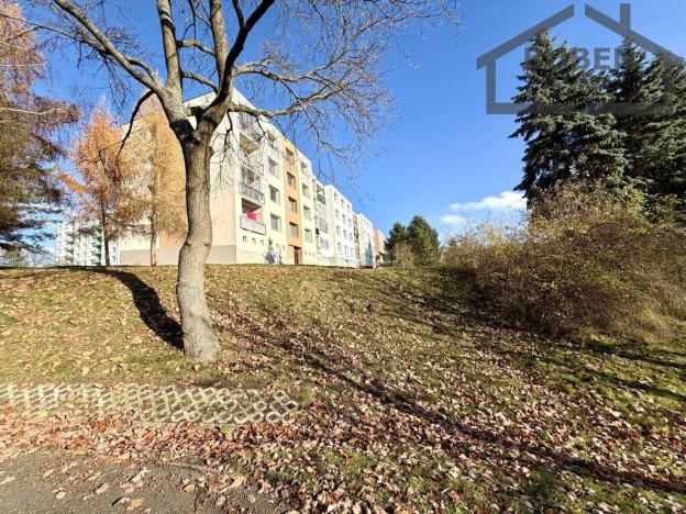 Pronájem bytu 1+1, Planá, Fučíkova, 42 m2