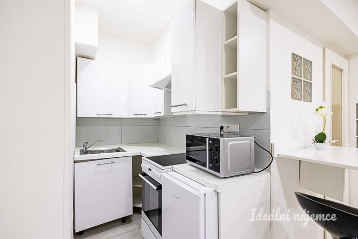 Pronájem bytu 1+kk, Praha - Libeň, Na Rokytce, 25 m2