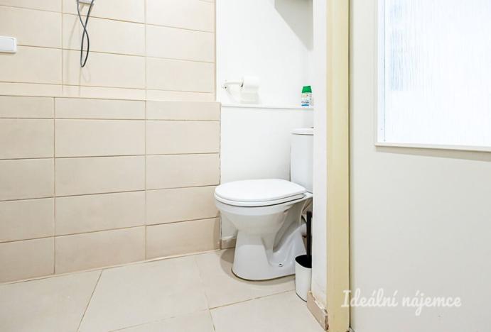 Pronájem bytu 1+kk, Praha - Libeň, Na Rokytce, 25 m2